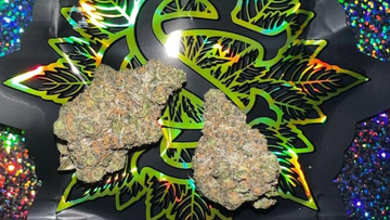 Blackberry Gary: The Newest Star in Serge Cannabis’ Lineup